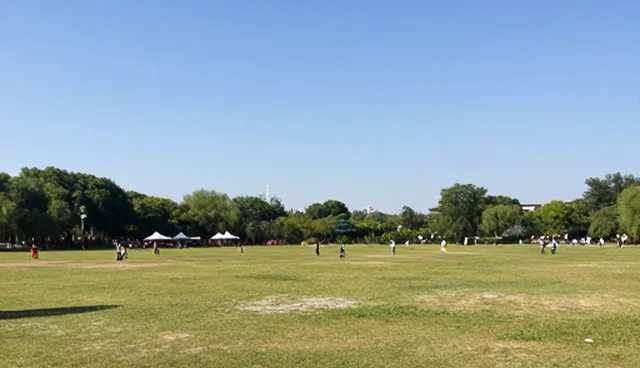 包车服务套餐:酒店预订中的常见问题与处理方法